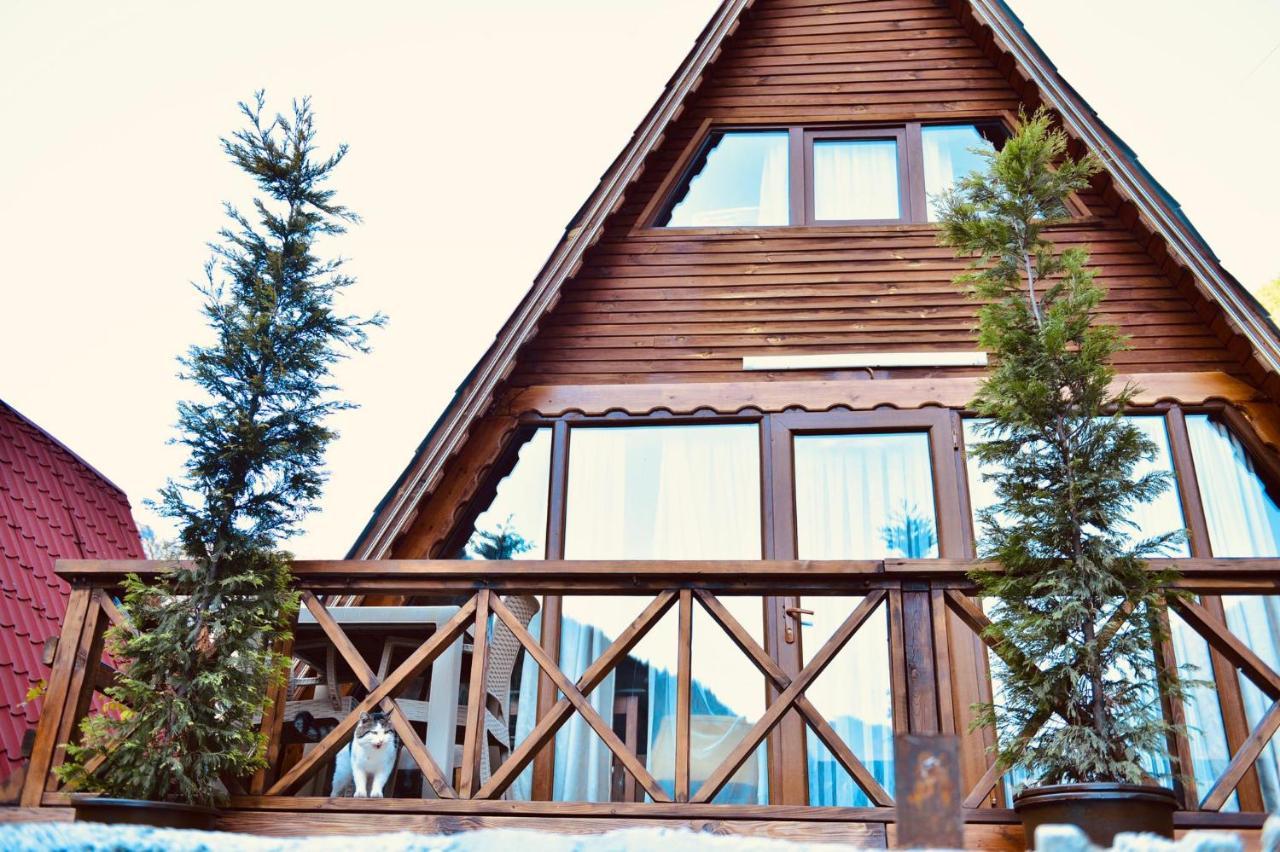 The Wooden House Uzungoel Узунгель Экстерьер фото